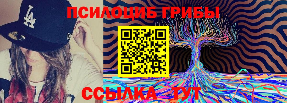 купить наркотик  Галлюциногенные грибы Magic Shrooms  Вход с VPN  Брянск  Галлюциногенные грибы Magic Shrooms 